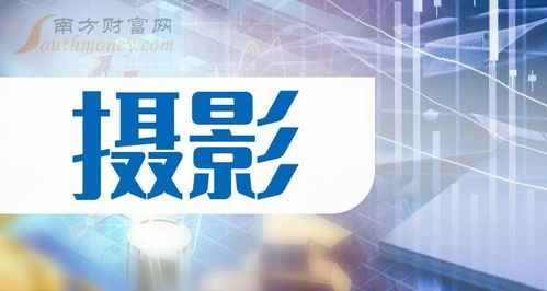 2024年摄影概念股名单出炉,收好了 6月7日